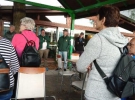 Dan OZVVS Ptuj