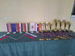 20. ribiško tekmovanje veteranov vojne za Slovenijo v lovu rib s plovcem ob ribniku Rogoznica.