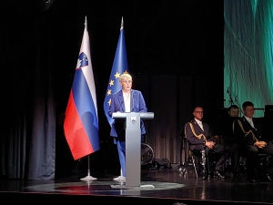 30. letnica ustanovitve ZVVS