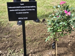 svečanosti ob Pekrskih dogodkih