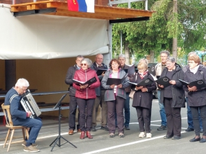 športne igre ZVVS